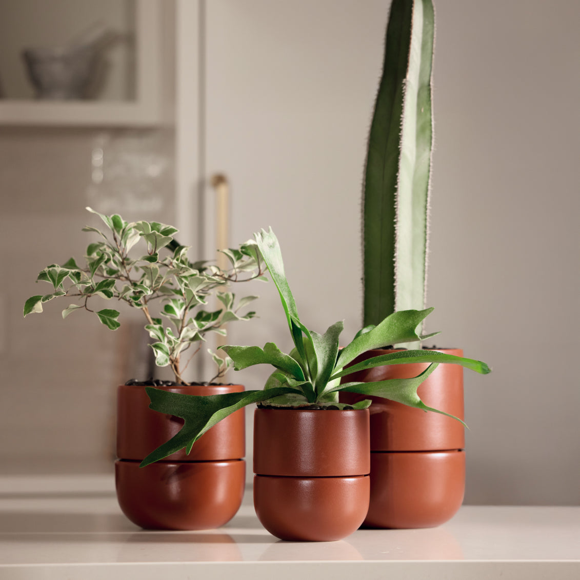 Planter