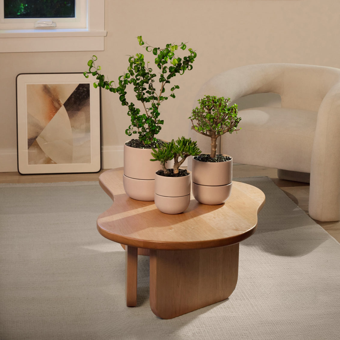 Planter
